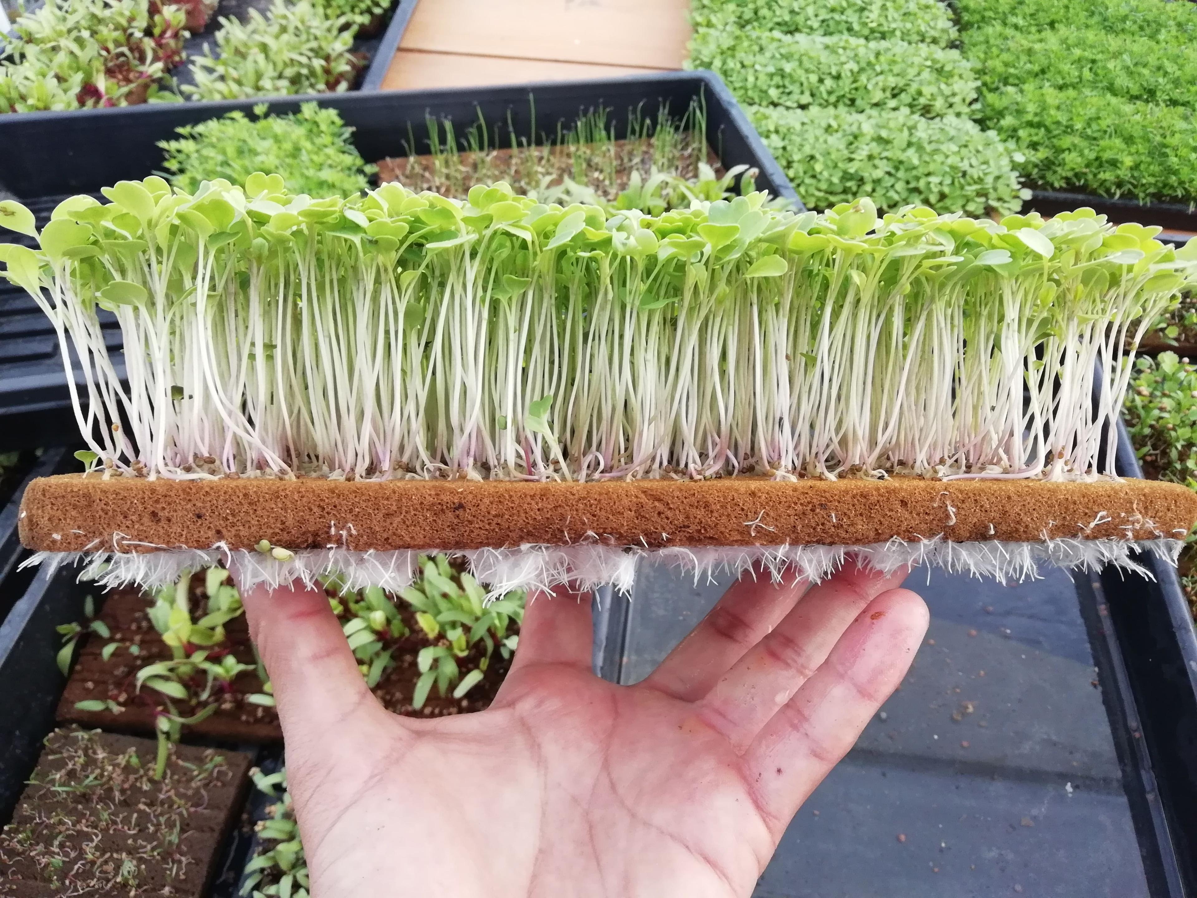 Foto de nuestros productos